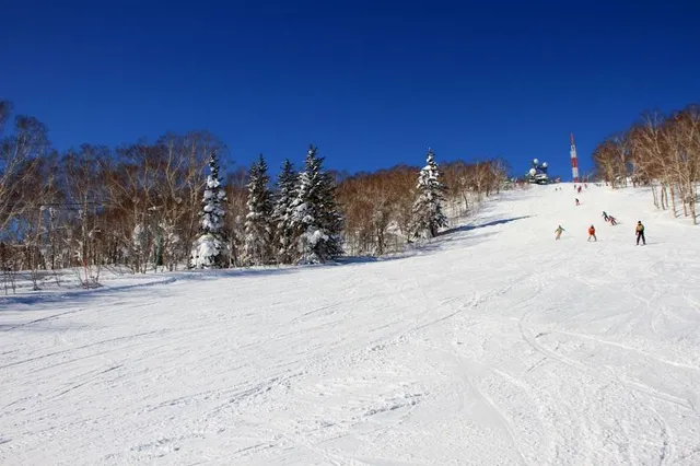 Sapporo Teine Ski Area