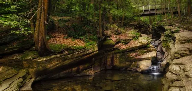 Seven Tubs Recreation Area - Pinchot Forest District