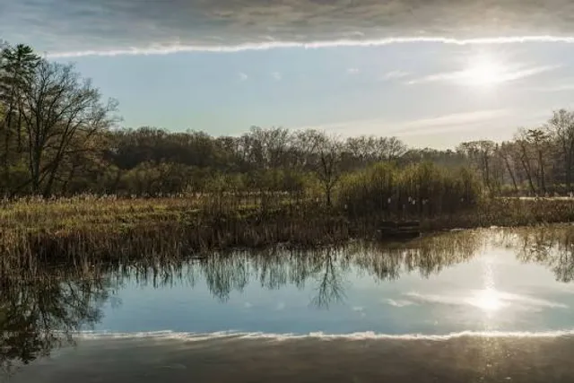 Royal Botanical Gardens - Hendrie Valley Sanctuary