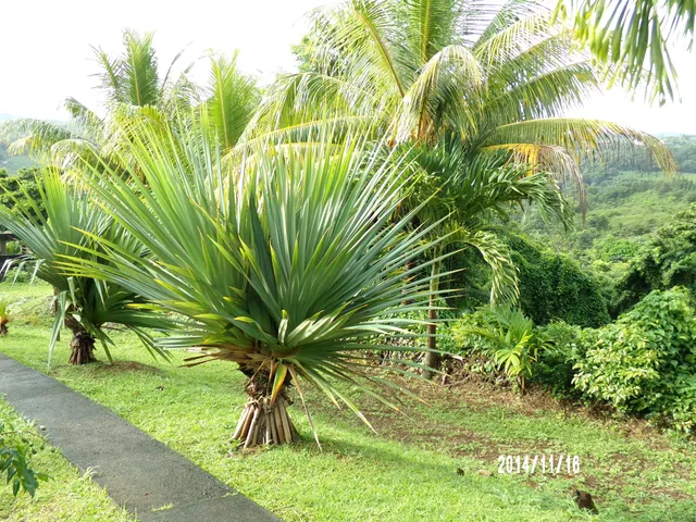 Le jardin de bonneville