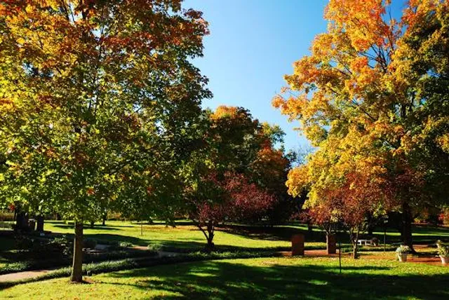 My Old Kentucky Home State Park