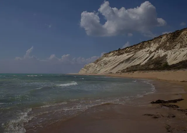 White Dame Torre Salsa