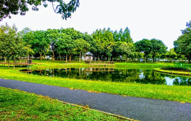 Firefly Pond, Misato Park