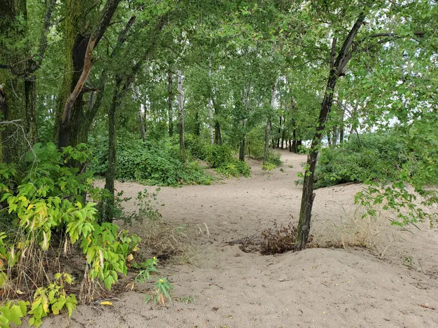 photo-3