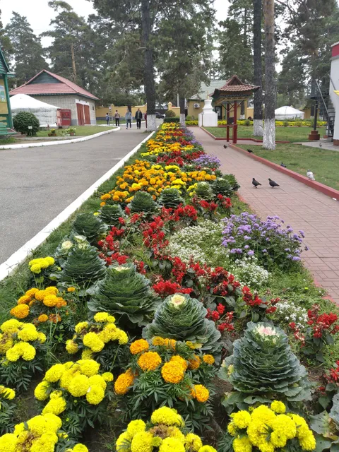 photo-1