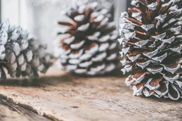 Adventure Park Lago d'Orta Le Pigne