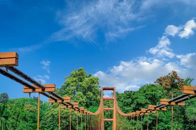 Thumboormuzhi Hanging Bridge