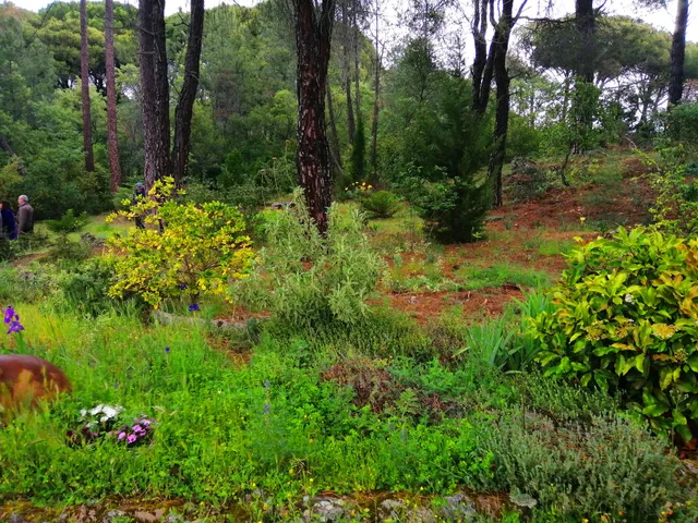 Jardín Botánico Valle del Tiétar