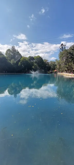 Bosque San Miguel regla