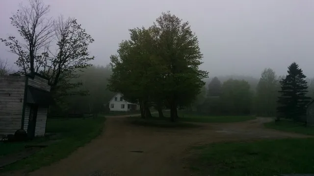 photo-3