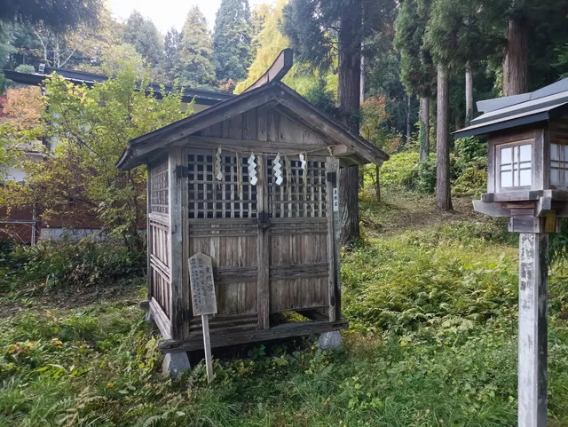 photo-1