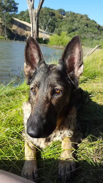 Healdsburg Center For the Arts