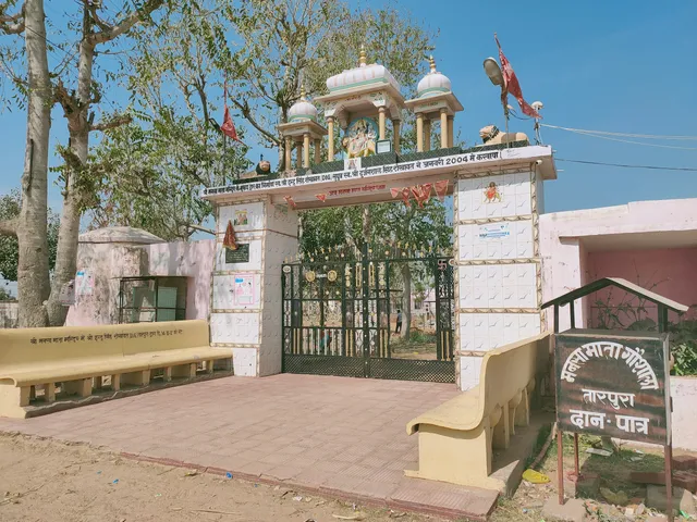 Mansa Mata Mandir, Tarpura