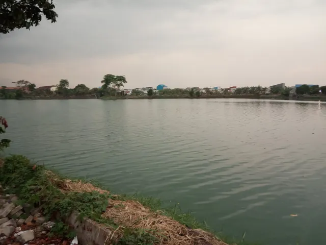 Danau Tomang