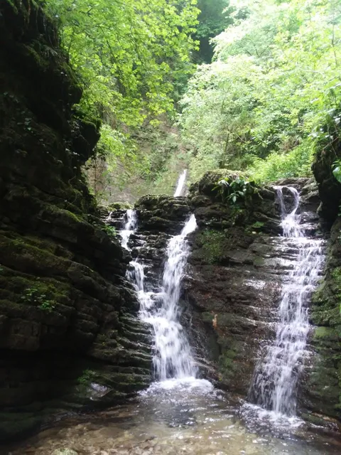 Orto Botanico delle Conifere