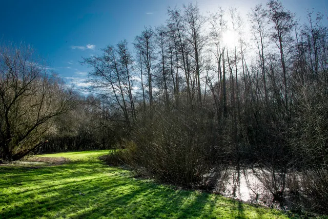 Watchmoor Nature Reserve