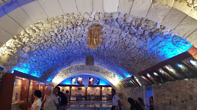 Museo Malacologico di Vieste