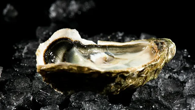 L'etale à fruits de mer