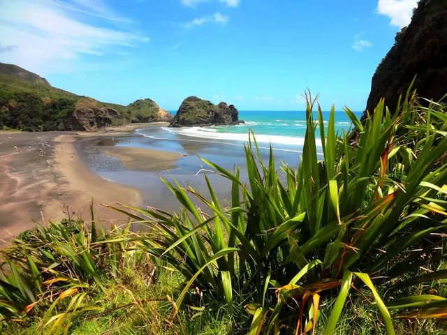 North Piha Beach