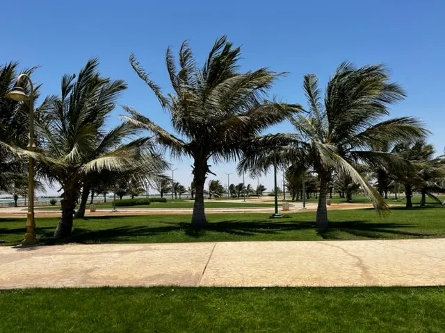 Al Nawras Island