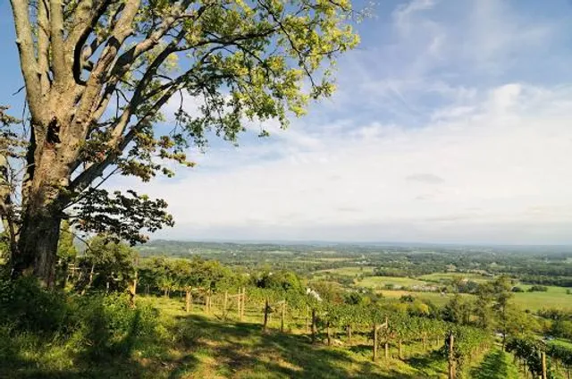 place image