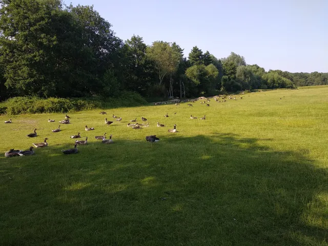 place image