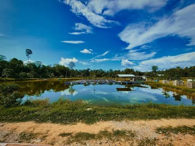 Jamun Khadi Simsar Surunga