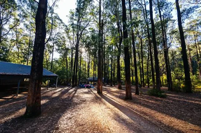 Masons Falls Picnic Area