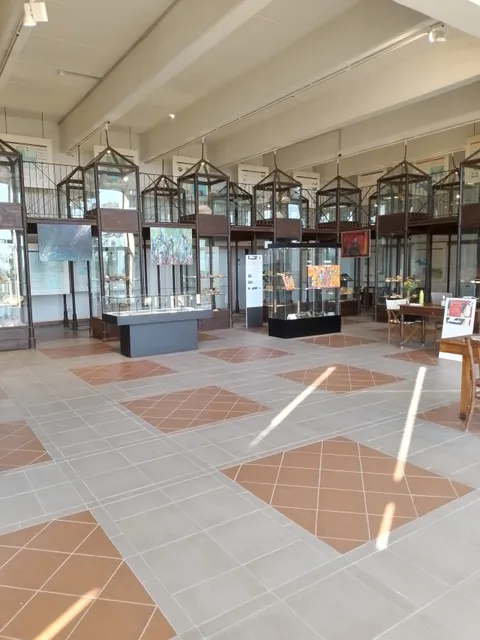 Museo civico archeologico del Distretto minerario