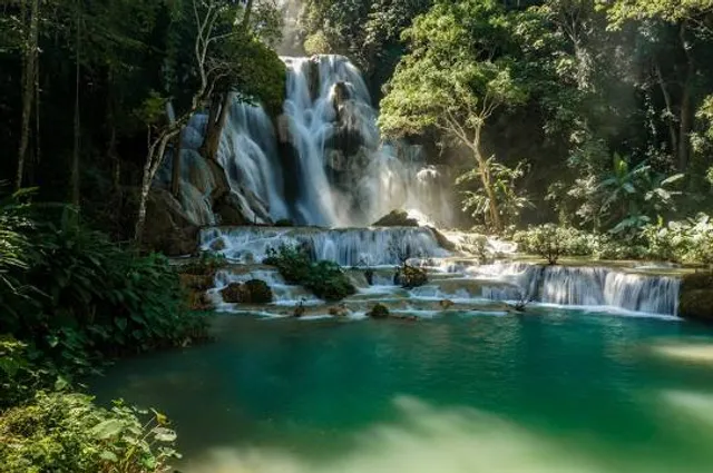 Jungle Paradise Adventure Golf