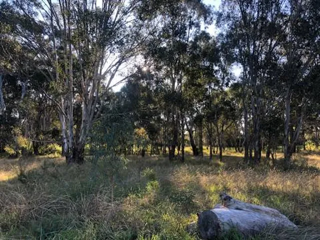 Western Sydney Parklands