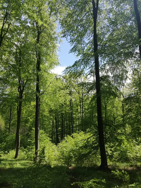 photo-1