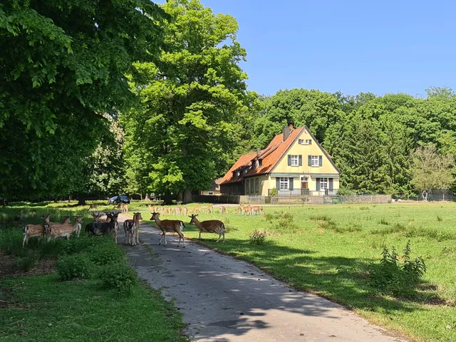 Naturwildpark Dülmen