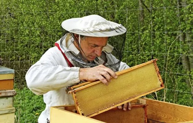 Cicero Community Park