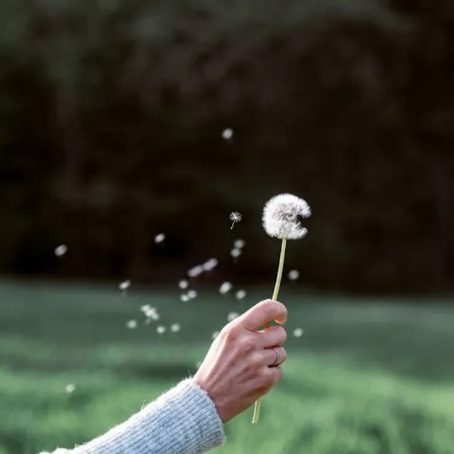 Ciénaga La Caimanera