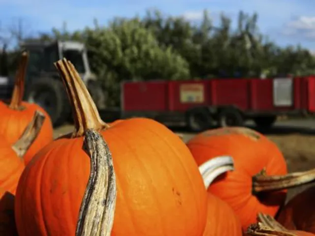 VerHage Fruit Farms & Cider Mill