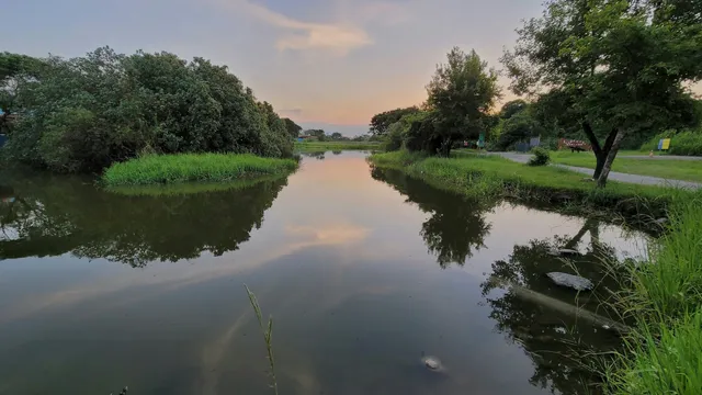 Lujiao Creek Wetlands