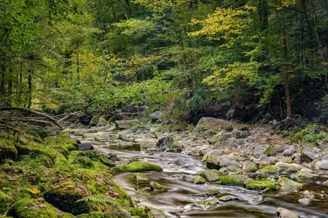 photo-3