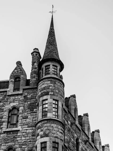 photo-1
