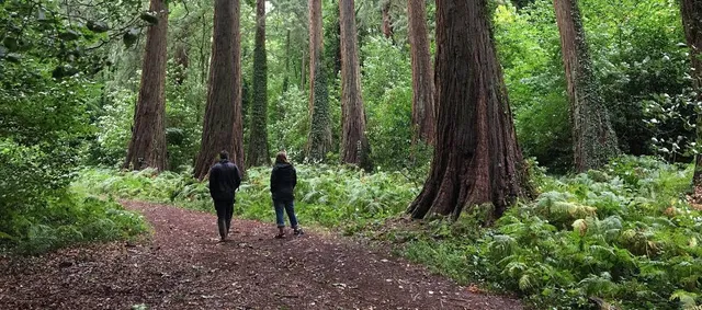 Ashton Hill Plantation