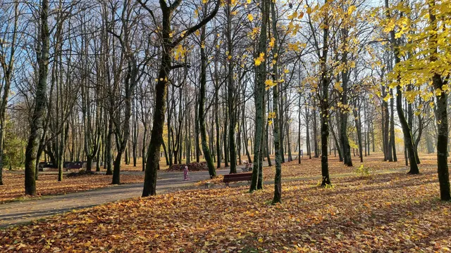Gargždų miesto parkas