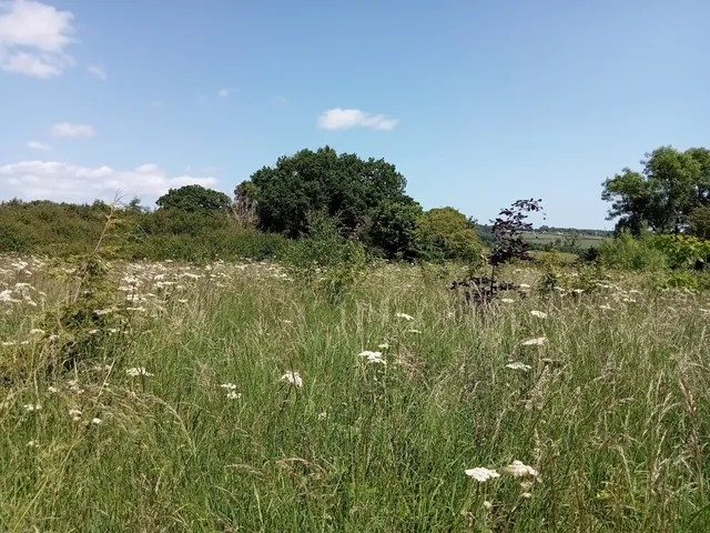 Longframlington Gardens