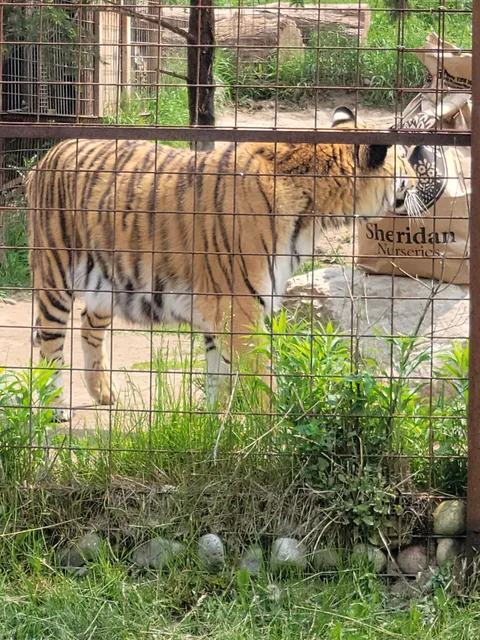 Brantford Twin Valley Zoo
