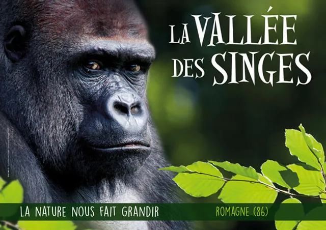 La Vallée Des Singes