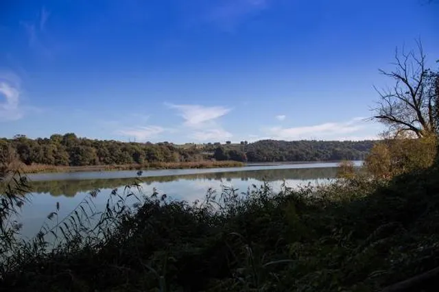 Riserva naturale di Nazzano