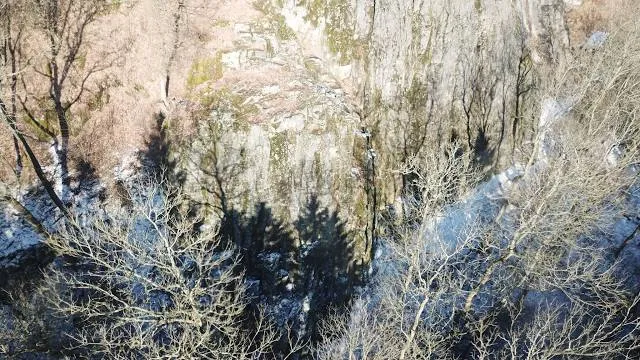 photo-1