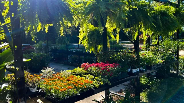 Stone Mill Creek Nursery, LLC