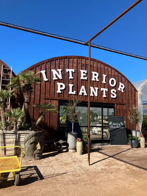 Desert Horizon Nursery