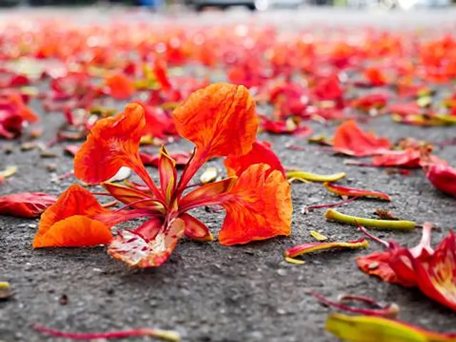 Whitesbog Historic Village