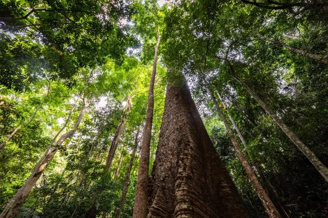 Taksin Maharat National Park